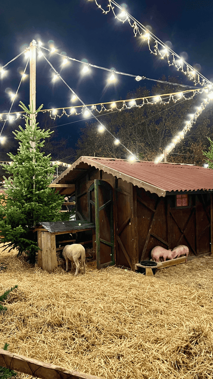 Set - Klassische Wiener Weihnacht & Gratis Weihnachtsguide