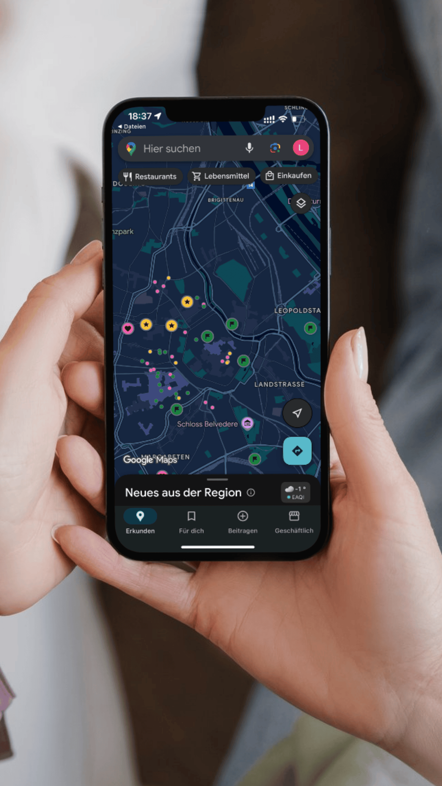 Set - Klassische Wiener Weihnacht & Gratis Weihnachtsguide